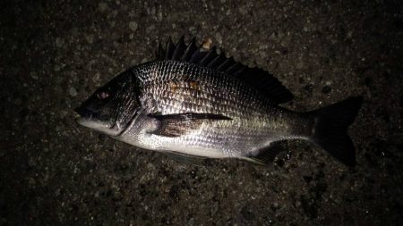 心地よい引きの正体は