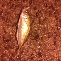 サミシイけどウレシイ