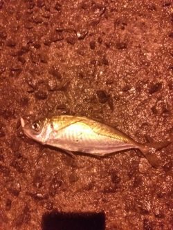 サミシイけどウレシイ