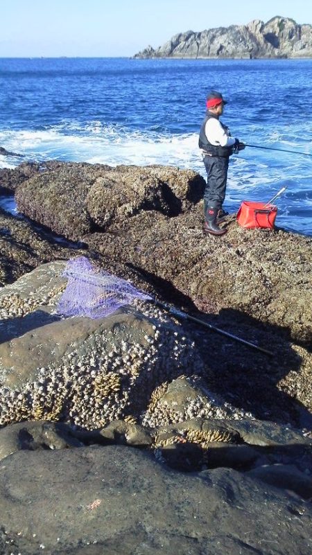 グレ10匹・・・・・アイコ゛二匹・・・