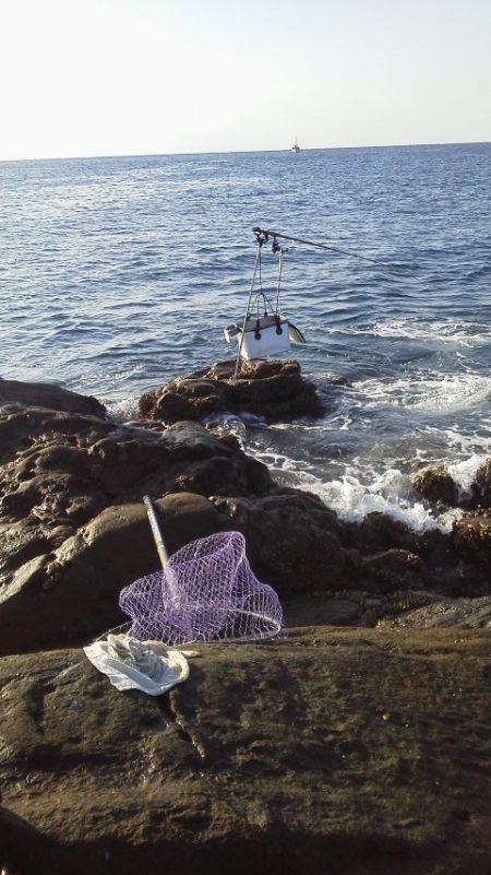 グレ7匹・・・・・アイコ゛1匹・・・