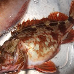 日暮れまでの３時間