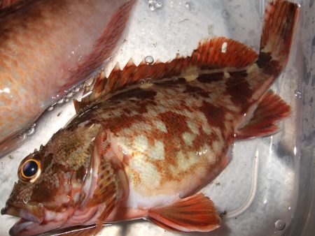 日暮れまでの３時間