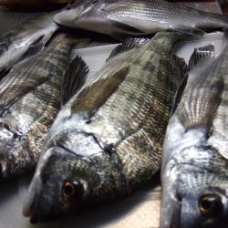 ウキって見てない時に、沈んでない？