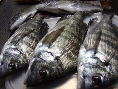 ウキって見てない時に、沈んでない？