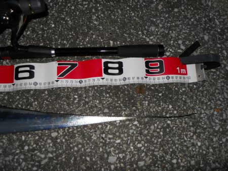 終盤!?早朝～タチウオのウキ釣り