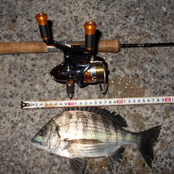 湾奥でライトゲーム♪。