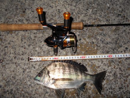 湾奥でライトゲーム♪。