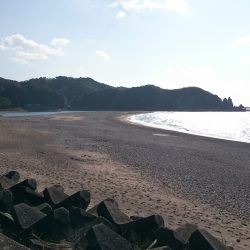 サーフジギング