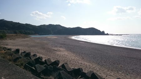 サーフジギング