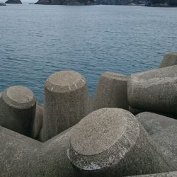 釣り納めはまだ