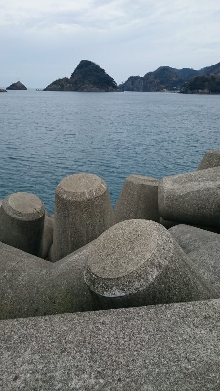 釣り納めはまだ