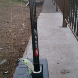 ワインドで太刀魚1匹get