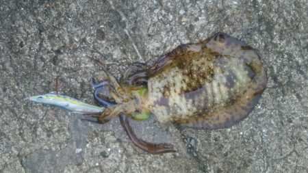 昨日に続いて…