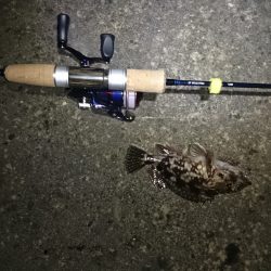 今年最後の釣り！