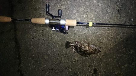 今年最後の釣り！