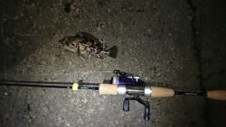 今年最後の釣り！