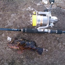 久々のデイゲーム