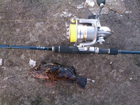 久々のデイゲーム