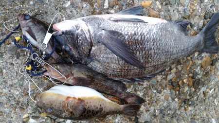 遠征フカセ釣り