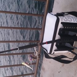 強風の中2キャスト目で太刀魚GET