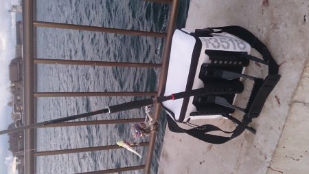 強風の中2キャスト目で太刀魚GET