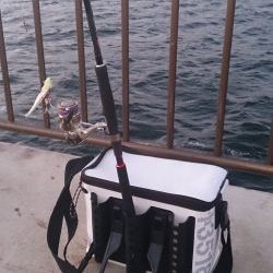 強風の中2キャスト目で太刀魚GET