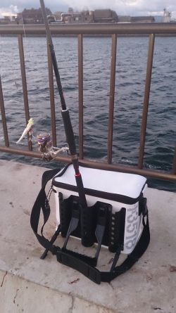 強風の中2キャスト目で太刀魚GET