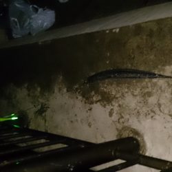 春木ベランダで釣り納め太刀魚GET