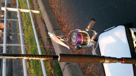 明け方に太刀魚1匹GET