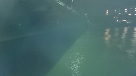 大雨後のシーバス調査