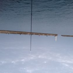 洲本港アジング