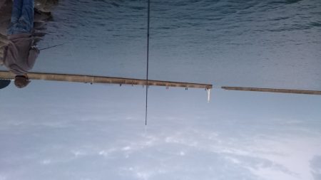 洲本港アジング