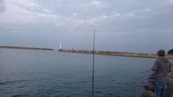 洲本港アジング