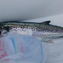 釣り納めの日本海