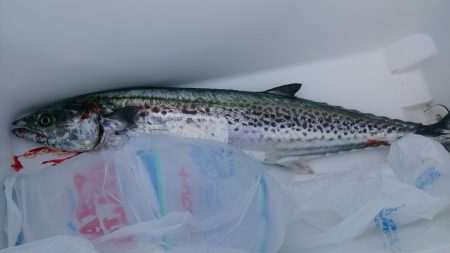 釣り納めの日本海