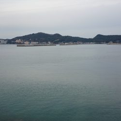 サヨリーマン釣太郎