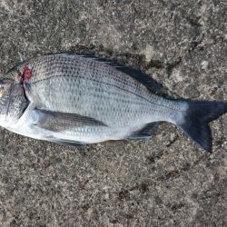 竿納めで目標達成！