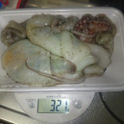 オクトパッシング