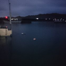 カマスはどこに？