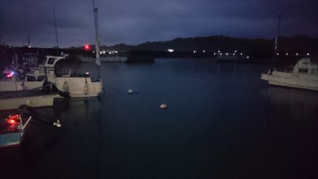 カマスはどこに？