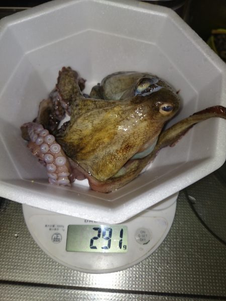 オクトパッシング