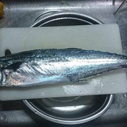 雨の中、気合いダアッ！