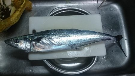 雨の中、気合いダアッ！