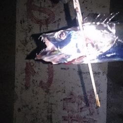 スパット持っていかれました