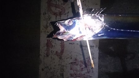 スパット持っていかれました