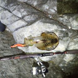 スーパームーン！！