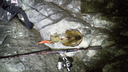 スーパームーン！！