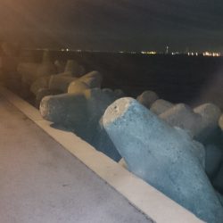 かなり寒いです