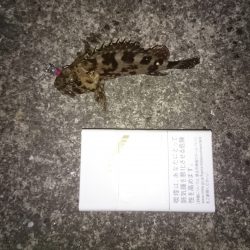 結局ガシリング！